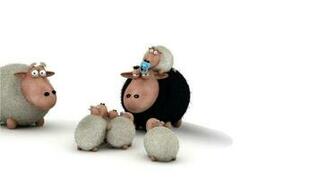 Owdlarrd Funny Sheep Cartoon Wallpaper