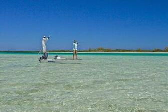 Flats Fishing Wallpaper Sage Fly Fish Bimini