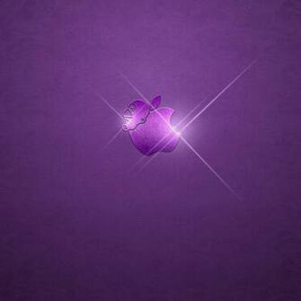 Apple Purple Desktop Background Wallpaper Amazing