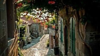 Trail Scenic Flowers Rustic Place Window Door Wallpaper Background