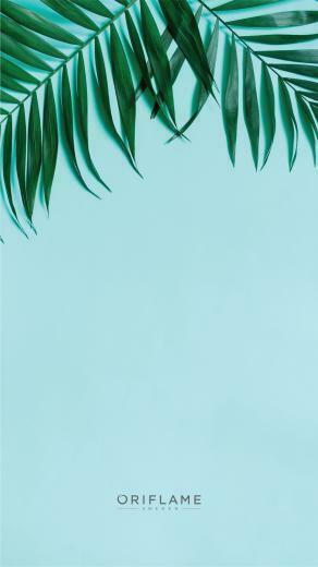 Pin Oleh Eun Ju Cho Di Latar Belakang Wallpaper