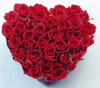 St Valentine S Screensaver Multimedia Gallery