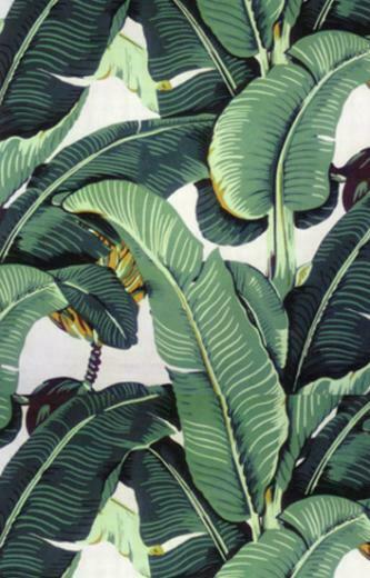 Martinique Wallpaper