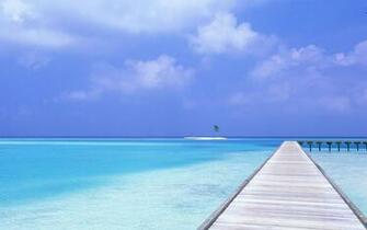 Wallpaper Cute And Best Natural Collections