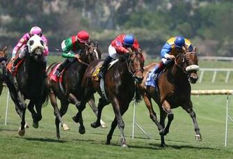 Horse Racing Wallpaper High Quality