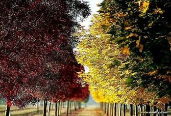 Seasonal Wallpaper And Screensavers Best HD