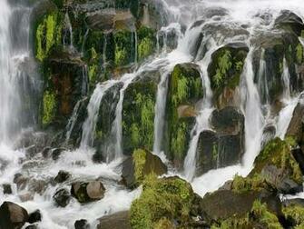 New Zealand North Island Waipunga Falls Between Roturua And Napier
