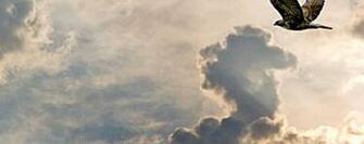 Wallpaper Tao Te Ching Liberi Di Leggere