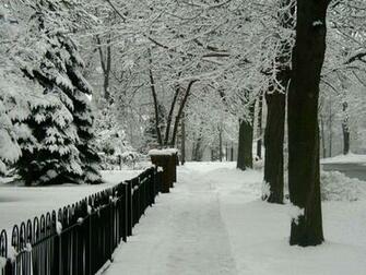 Winter Desktop Wallpaper
