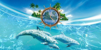 Live Wallpaper