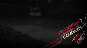 Phoenix Coyotes Wallpaper By Flyer48