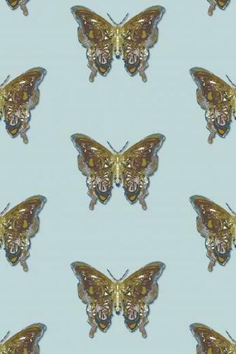 Timorous Beasties Wallcoverings Butterfly