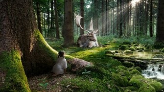 Theme Bin Archive Forest Dream HD Wallpaper