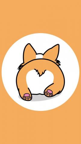 Cute Corgi Wallpaper On
