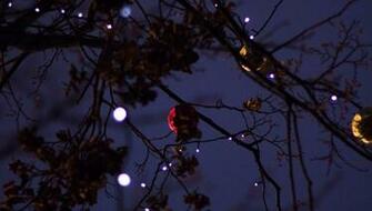 Wallpaper Christmas Toys Garland Light Tree