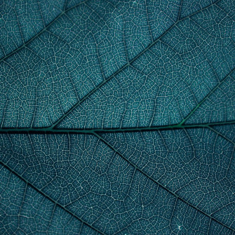 Aesthetic Pattern Wallpaper