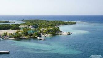 Roatan Wallpaper Background Kicking Designs