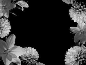 Black And White Background HD Wallpaper In Abstract Imageci