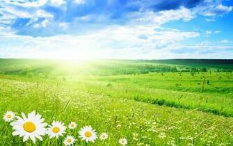 Spring Nature Wallpaper