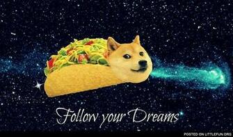 Littlefun Follow Your Dream Doge