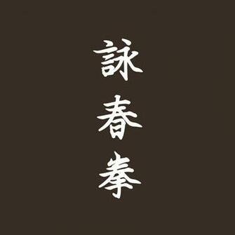 Samsung Galaxy S4 I9500 Decal Skin Wing Chun Ving Tsun