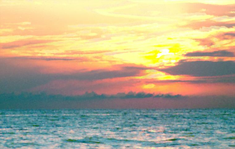 Summer Beach Ocean Florida Resorts HD