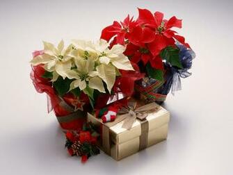 Christmas Gift Desktop Background Hivewallpaper