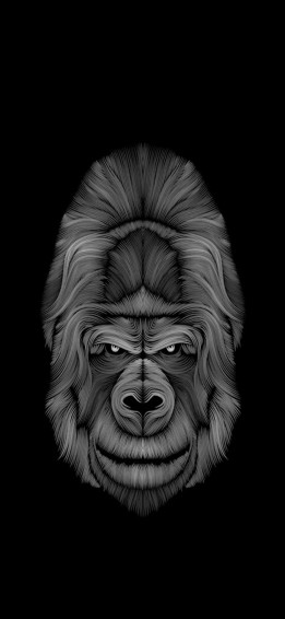 Ready For A Wild Journey Get The Revolutionary iPhone X Wallpaper