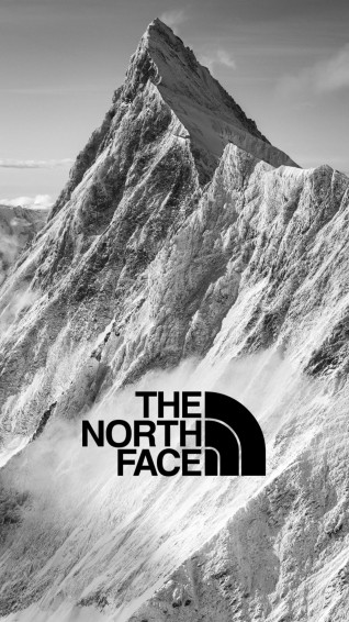 The North Face Mountain Monochrome In Wallpaper