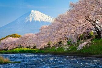 Mount Fuji Wallpaper X Net