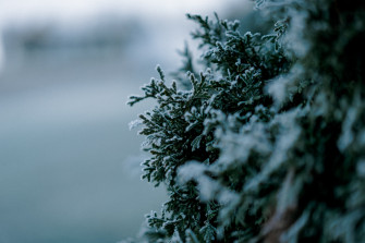 Your Go To Winter Color Palette The Laurie Loo