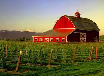 Bothell In Winter Mount Vernon Vineyard