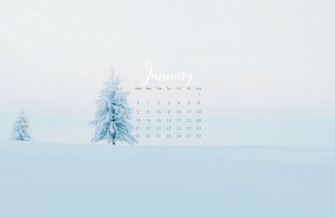 January Calendar Wallpaper