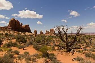 James Basom On Desert Waste Landscape Background