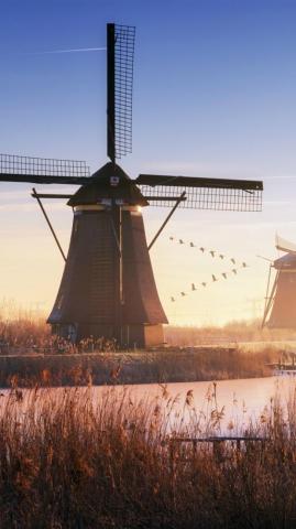 Netherlands Windmills River iPhone 6s Wallpaper