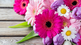 Flower Bouquet For Colorful Background Wallpaper