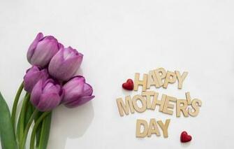 Wallpaper Flowers Spring Bouquet Purple Tulips