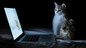 Suspense Thriller Wallpaper