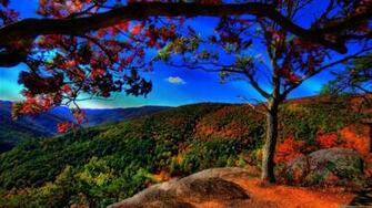 Desktop Wallpaper HD Widescreen Computer