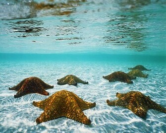 Beautiful Sea Wallpaper HD Topwallpaper