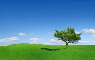 Beautiful Wallpaper In High Resolution For