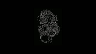 Dragon Aesthetic Black And White Laptop Background