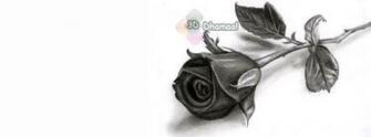 3d Wallpaper HD Timeline Love Is A Rose Covers