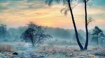 Chita Winter In Siberia HD Wallpaper Widescreen