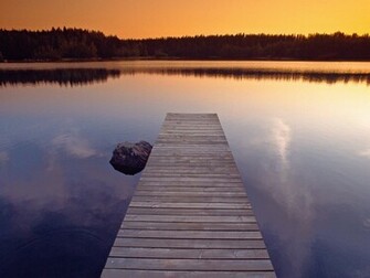 Finland Wallpaper Black And Yellow Baground