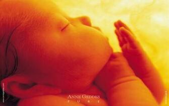 Anne Geddes Wallpaper Photos Widescreen Baby Flowers