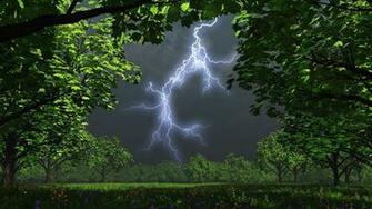 Amazing Nature HD Desktop Background Wallpaper
