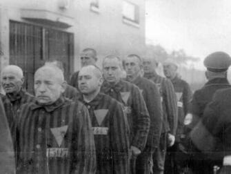 Jehovah S Witnesses Purple Triangle Holocaust