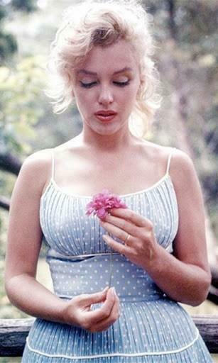 Marilyn Monroe HD Wallpaper For Android Adult Appsbang