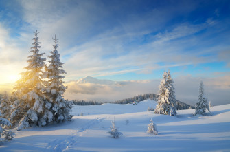 Landscape Sky Snow Tree Nature Winter 4k Ultra HD Wallpaper